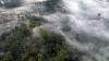 Deforestation is just a symptom. The disease is de-governance (commentary)