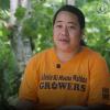 Celebrating women farmers vanilla growers in Tonga