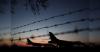 Gulf tensions reshape global travel patterns; demand remains resilient: Report