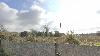 Scheme to bring business units to village?