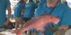 Georgia’s proposed red snapper season set for July 1, halted