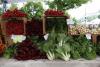 Local Farmers Markets Bring Music, Produce and Community to Sullivan and Delaware County
