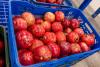 Peruvian pomegranate industry projects closing a challenging season with up to 25 percent growth