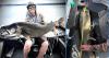 Idaho Falls angler catches record 43.25-inch lake trout at Payette Lake