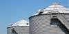 Free tours showcase North Iowa’s agriculture industry
