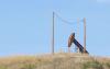 House District Candidate Aims to Keep Oil Tax Revenue in Western North Dakota