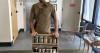 Nature's grocery store: A forager tells his story