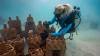 Anantara Dhigu and rrreefs Install 3D Printed Reef Structures in the Maldives