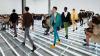 Prada, Giorgio Armani, Ralph Lauren Impress Retailers