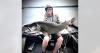 Idaho angler reels in new state catch-and-release record lake trout at Payette Lake