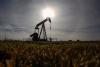 Insider activity supports the bullish Canadian oil patch thesis