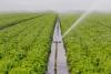 Donors to allocate $172 million to modernize irrigation in Kyrgyzstan