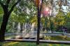 Bishkekzelenkhoz plans to improve Oak Park for 40 million soms