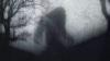 Pair of Witnesses Report Possible Sasquatch Sighting in South Carolina