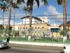 Tree Falls On Vehicles At Port of Spain General Hospital Injuring Two People