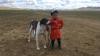 Striking global similarities in interactions between dogs and humans