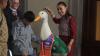 The unofficial 2026 FIFA World Cup mascot is a Mexican duck: Here’s what this means
