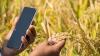 Digital agriculture in India: Problems of inclusion