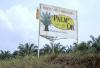 Socfin’s Cameroon Palm Oil Unit Reduces Share Capital, Raising Questions About Future Strategy