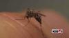 New Mexico confirms 2 new West Nile virus cases