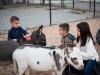 8 Fun Front Range Learning Activities for Kids This Summer