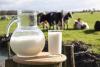 Growing Milk Supplies Continue to Pressure U.S. Dairy Prices