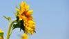 Weather & Traffic: Wednesday 24 June: Not getting any cooler