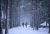 Retail As Critical Infrastructure In Finland’s AI-Era Defense Strategy