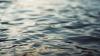 Iowa DNR Reminds Boaters to Check for Aquatic Hitchhikers