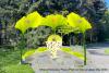 New sculpture in Seattle's Peace Park could be unveiled in August 2027