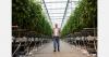 “High-tech greenhouse vegetable cultivation answers all the big questions”