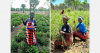 Pioneering Malawian agri-fintech platform goes B2B