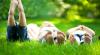 Netherlands drops 22nd place on KidsRights Index; Lowest position yet