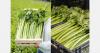 "Open-field celery consumption rises with the start of the mussel season"