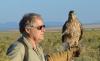 Meet Utah’s ‘Eagle Man’ and Scout, his golden eagle best friend