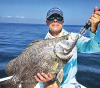 Live tripletail category added for July 17-19 Alabama Deep Sea Fishing Rodeo