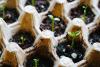 Why PASSHE should prioritize AGI, small business workforce growth research Lab