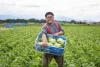 MacArthur’s legacy in Japan lives on through local produce