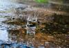 Armenia expects a moderately warm July with frequent rains - Surenyan
