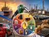 How Are Petrol, Diesel & LPG Prices Decided? Taxes, OMC Margins Explained
