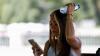 Foreign Office gives UK holidaymakers new Spain, Portugal and France update