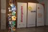 Emergentes 2026 Opens Applications For Emerging Artists Across Paraguay
