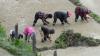 Bhutan AgriSustain Fund: USD 80 million ambition, mobilisation at early stage