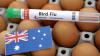 Papua New Guinea bans Australian poultry imports after bird flu cases