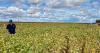 Micropep submits peptide-based bio-fungicide for regulatory approval in Brazil, Paraguay