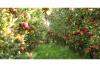 €150 million financing to boost competitiveness of agricultural sector
