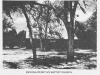 Kansas author using Brantley County setting