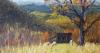 Expressive Energy Art Exhibit by Randy Carboni at Southbury Library in July