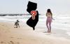 Can You Walk Your Dog On New Jersey's Boardwalks This Summer?