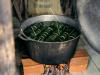 Bariva: traditional dish of Papua New Guinea's Rigo district
